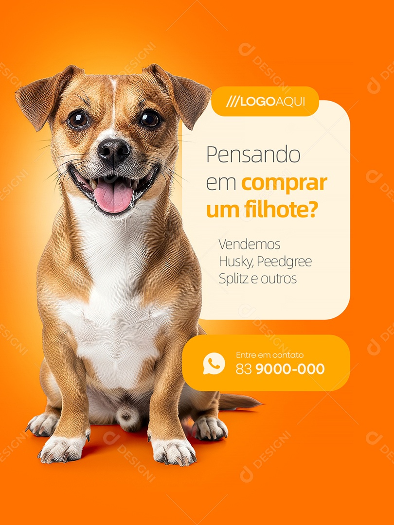 Filhotes à Venda Vendemos Husky Peedgree Splitz e Outros Social Media PSD Editável