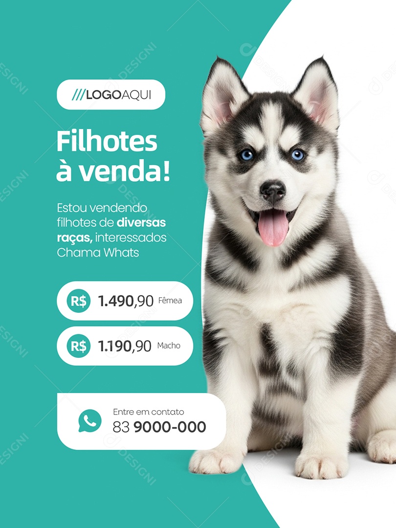 Filhotes à Venda Diversas Raças Interessados Chama Whats Social Media PSD Editável