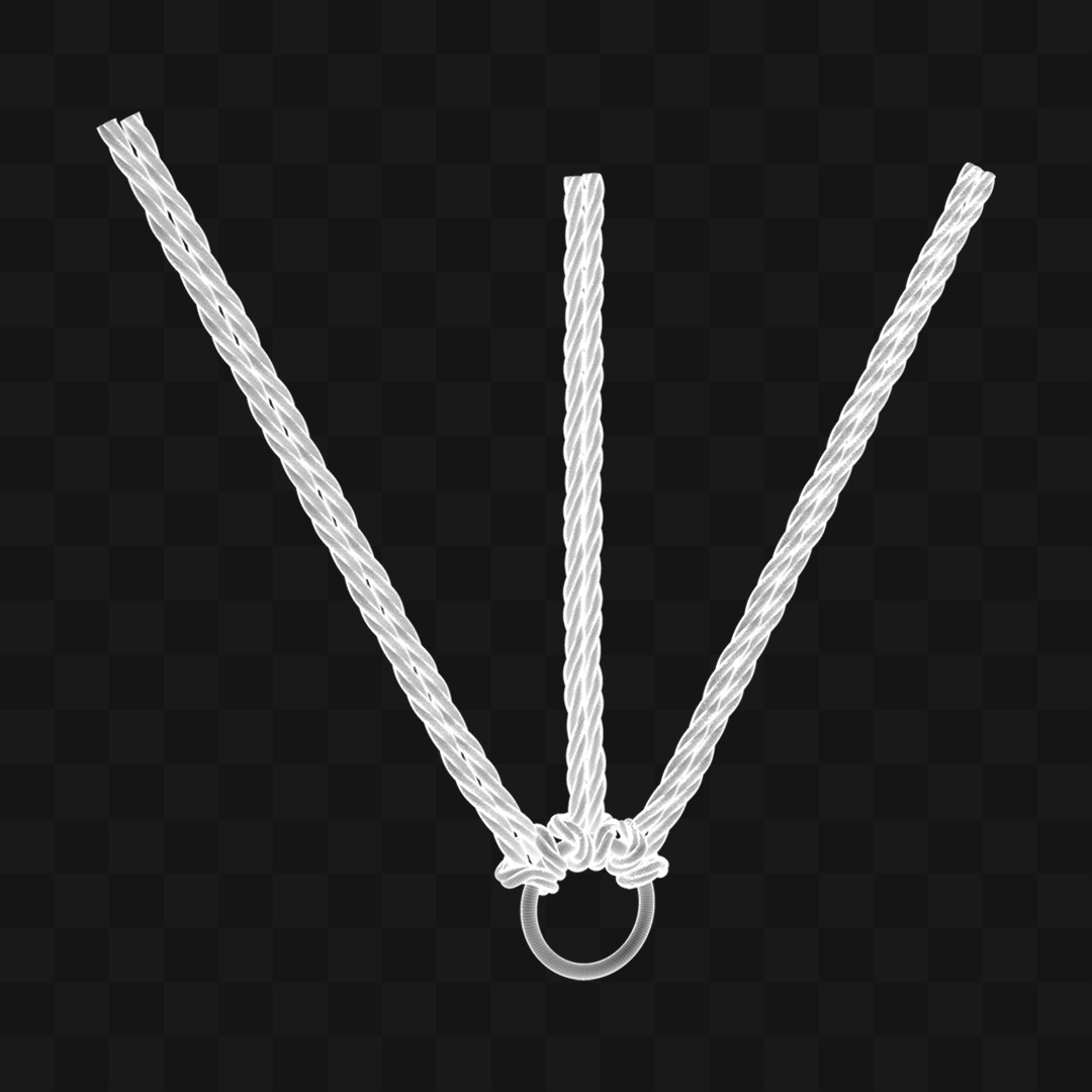 Estrutura de Cordas - Modelo 3D