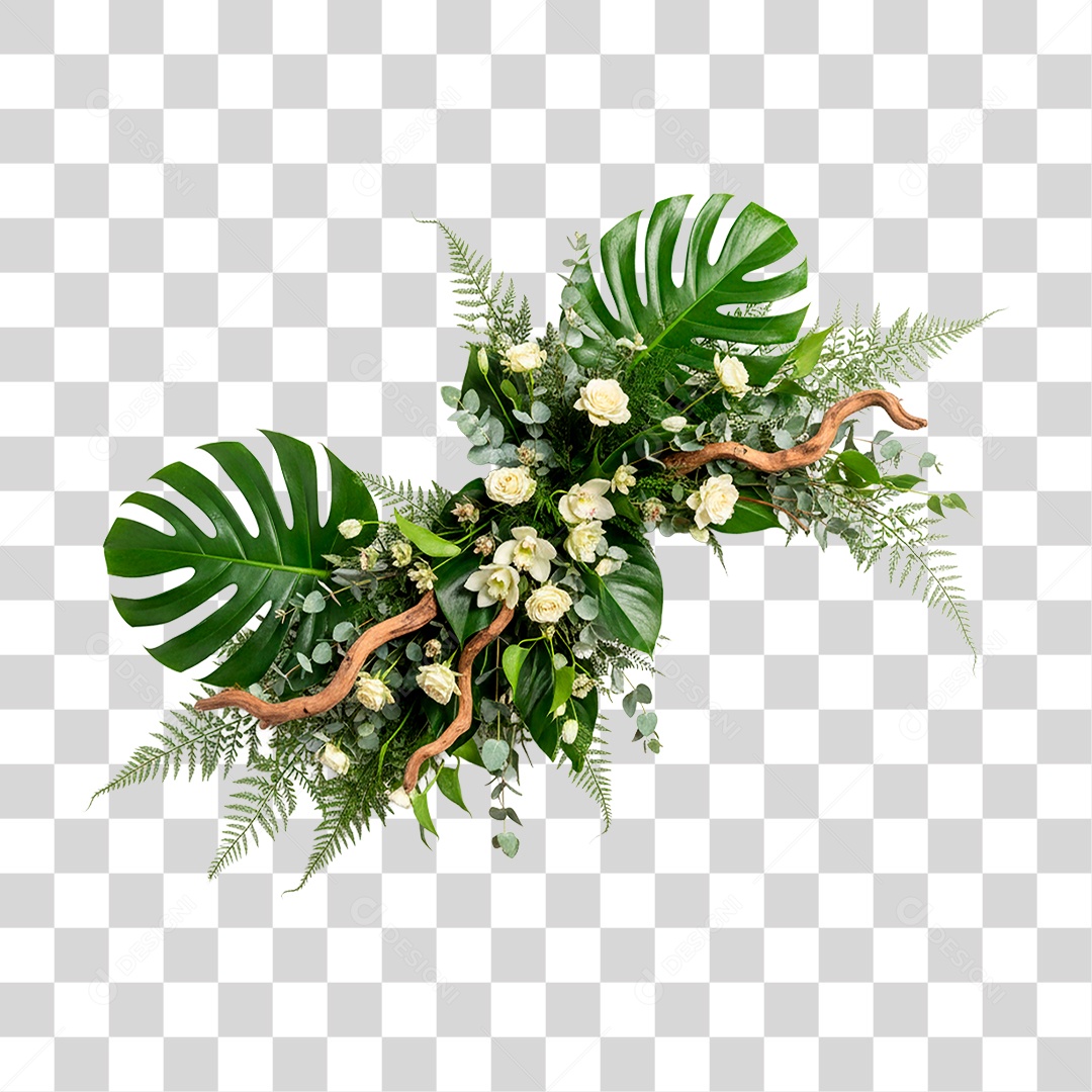 Planta Verde PNG Transparente