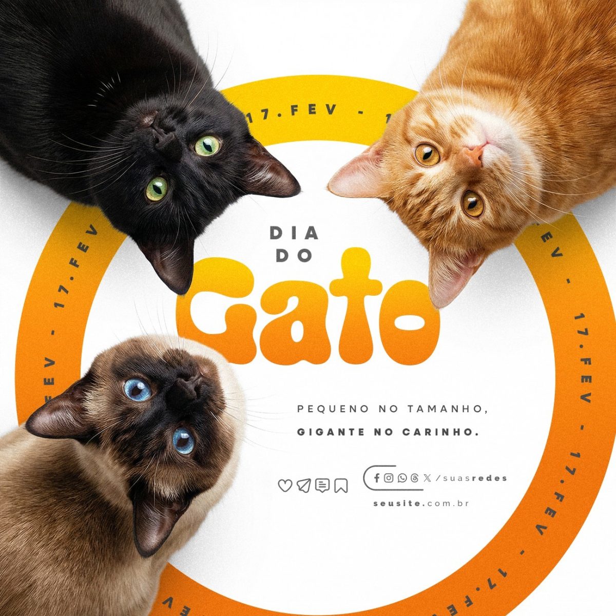 Dia Mundial do Gato 17 Fevereiro Pequeno no Tamanho Gigante no Carinho PSD Editável