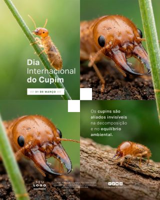 Dia Internacional do Cupim 31 de Março Social Media PSD Editável