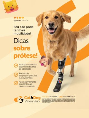 Veterinário Seu Cão Pode Ter Mais Mobilidade Dicas sobre Prótese PSD Editável