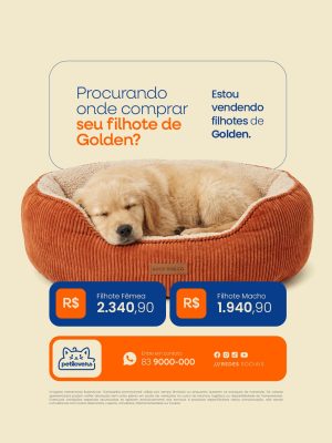 Filhotes á Venda Procurando Onde Comprar Seu Filhote de Golden PSD Editável